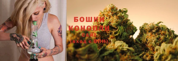 молекула духа Лихославль