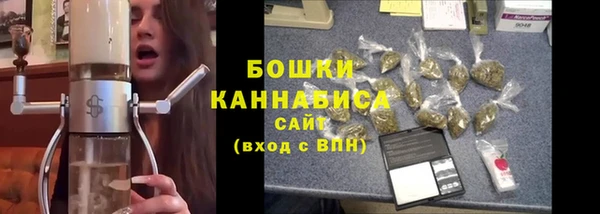 молекула духа Лихославль