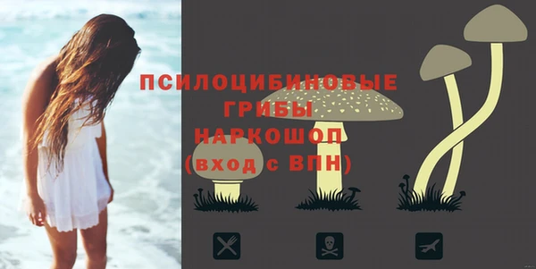 МДПВ Лиски