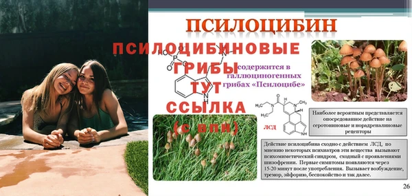 кокаин премиум Липки