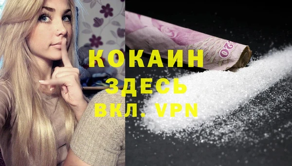 МДПВ Лиски